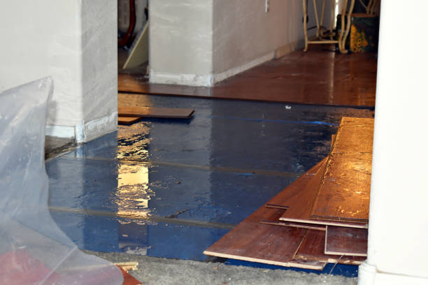 Professional Basement Flood Cleanup technician working in Bridgeport, OH